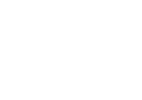 Regatta