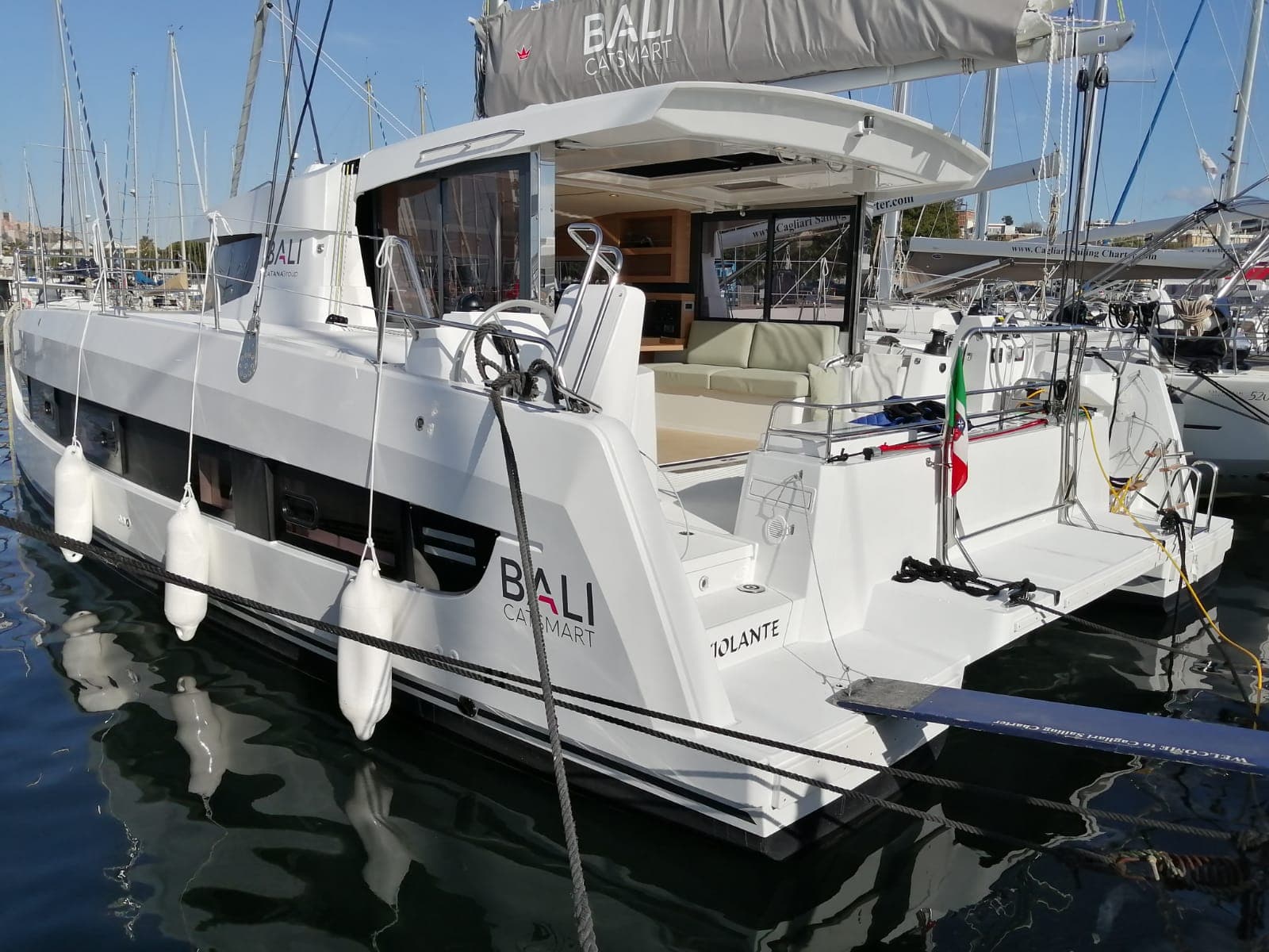 Bali Catsmart Violante