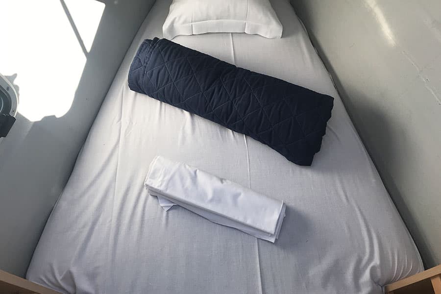 Lagoon 450 Fly Corona Borealis – bilde 3 av 18