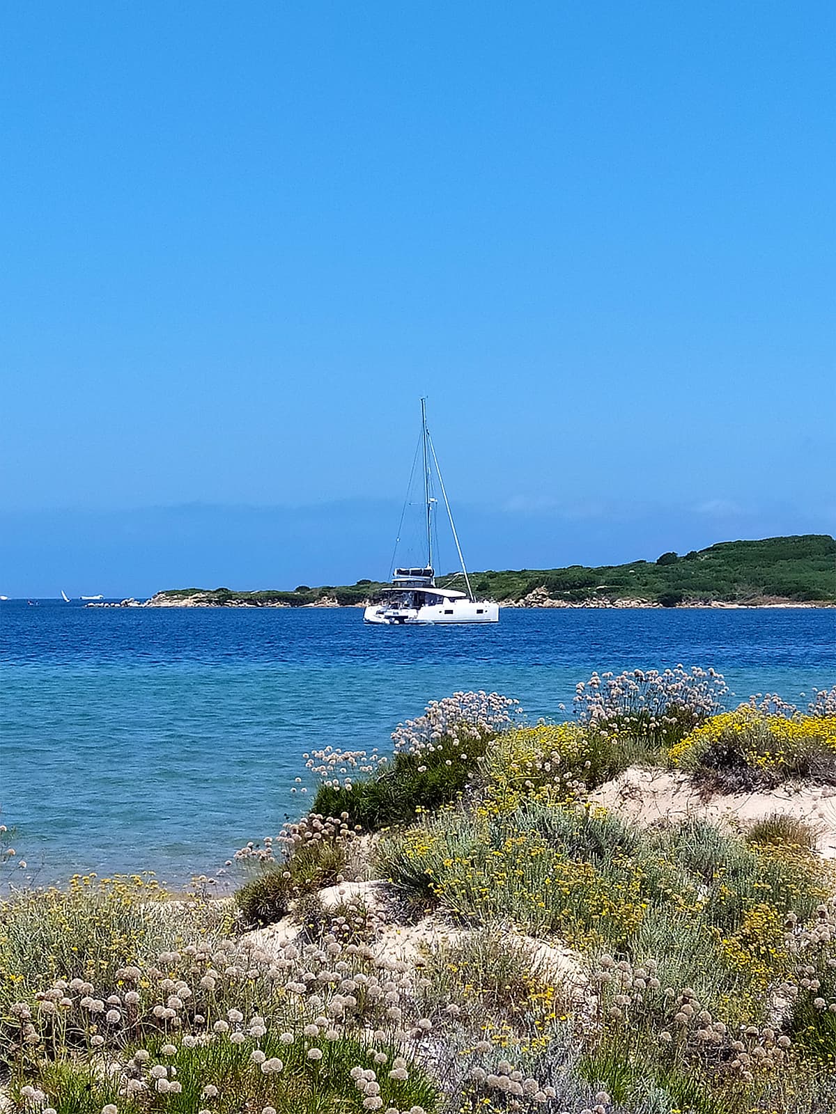 Lagoon 450 Fly Pollo – bilde 2 av 9