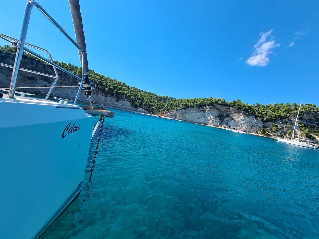 Jeanneau Sun Odyssey 440 Celene – bilde 5 av 21