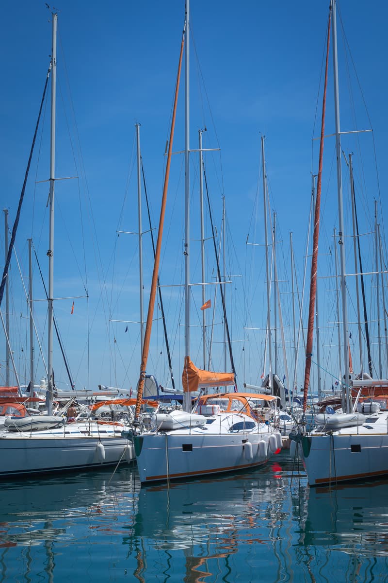 Elan Impression 45 LION – bilde 2 av 26
