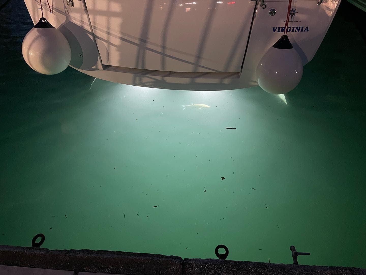 Jeanneau Sun Odyssey 440 Virginia (A/C, Gen. 10kVA, Watermaker 160L/h, Electric Winch) – bilde 3 av 16
