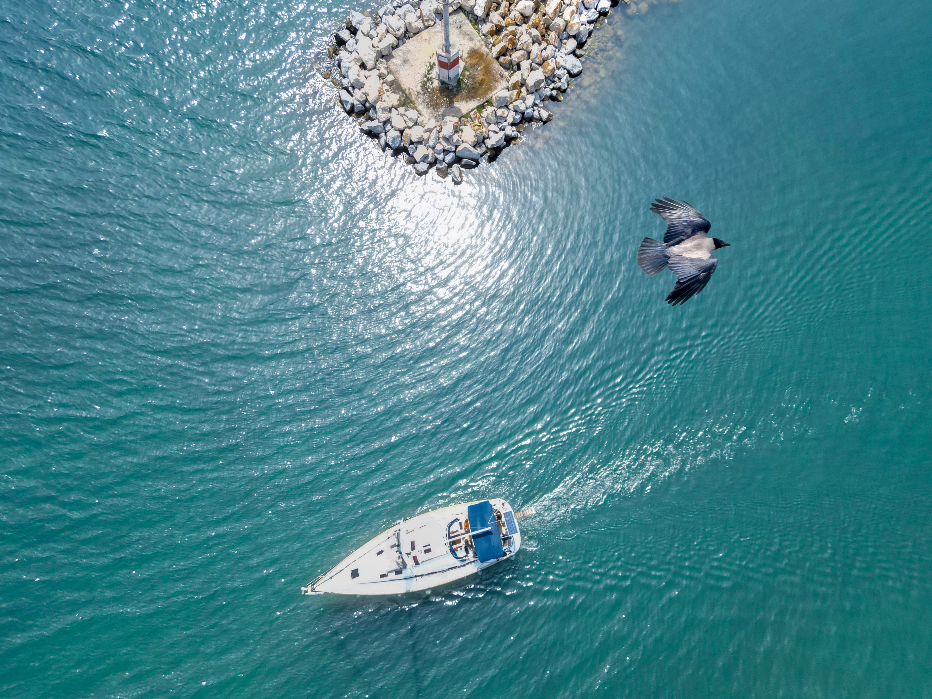 Bavaria 46 Cruiser Fox – bilde 5 av 8