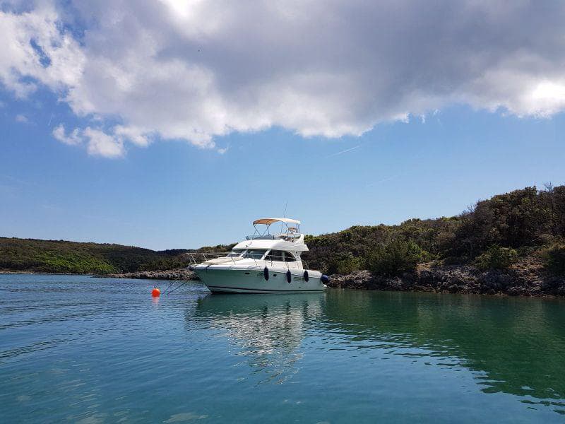 Prestige 36 Fly Fortuna – bilde 5 av 18