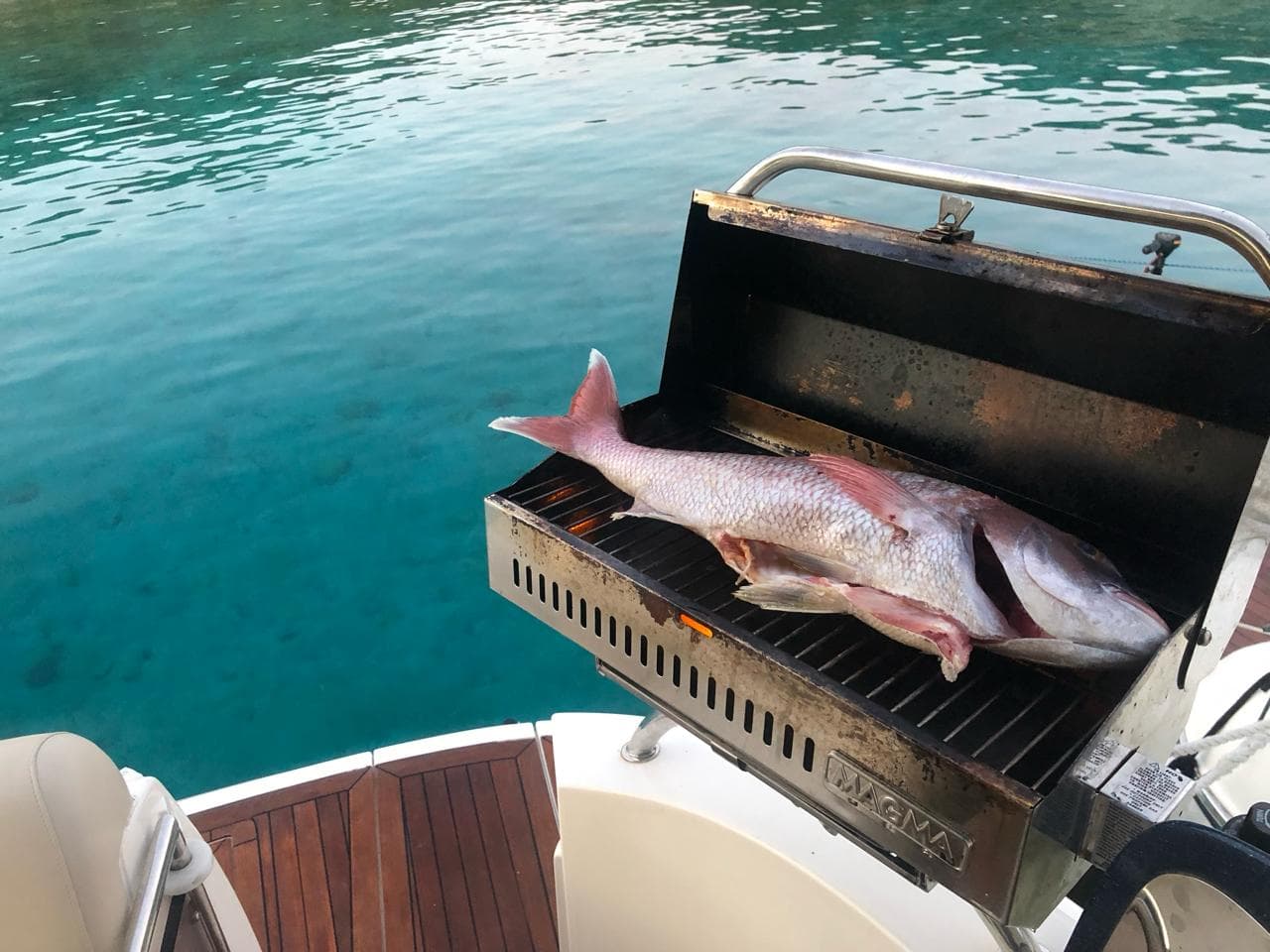Sealine S38 ELAINE – bilde 3 av 26
