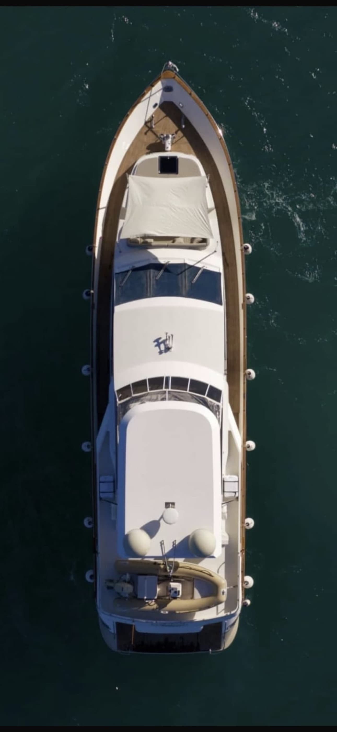 Falcon 80 Fly Mare & Luna