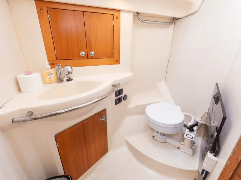 Elan 34 Argo – bilde 2 av 5