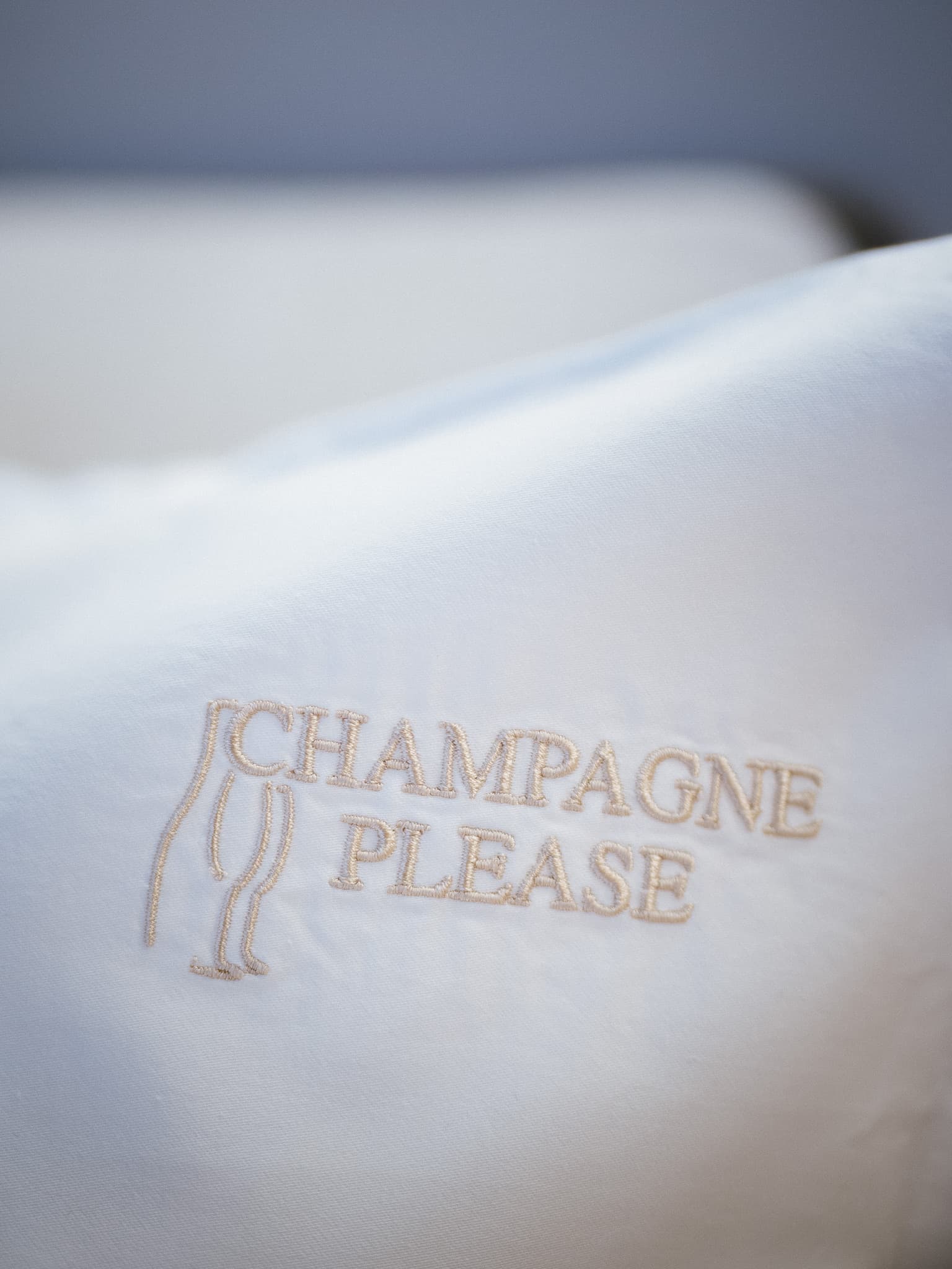 Lagoon 55 CHAMPAGNE PLEASE – bilde 5 av 61