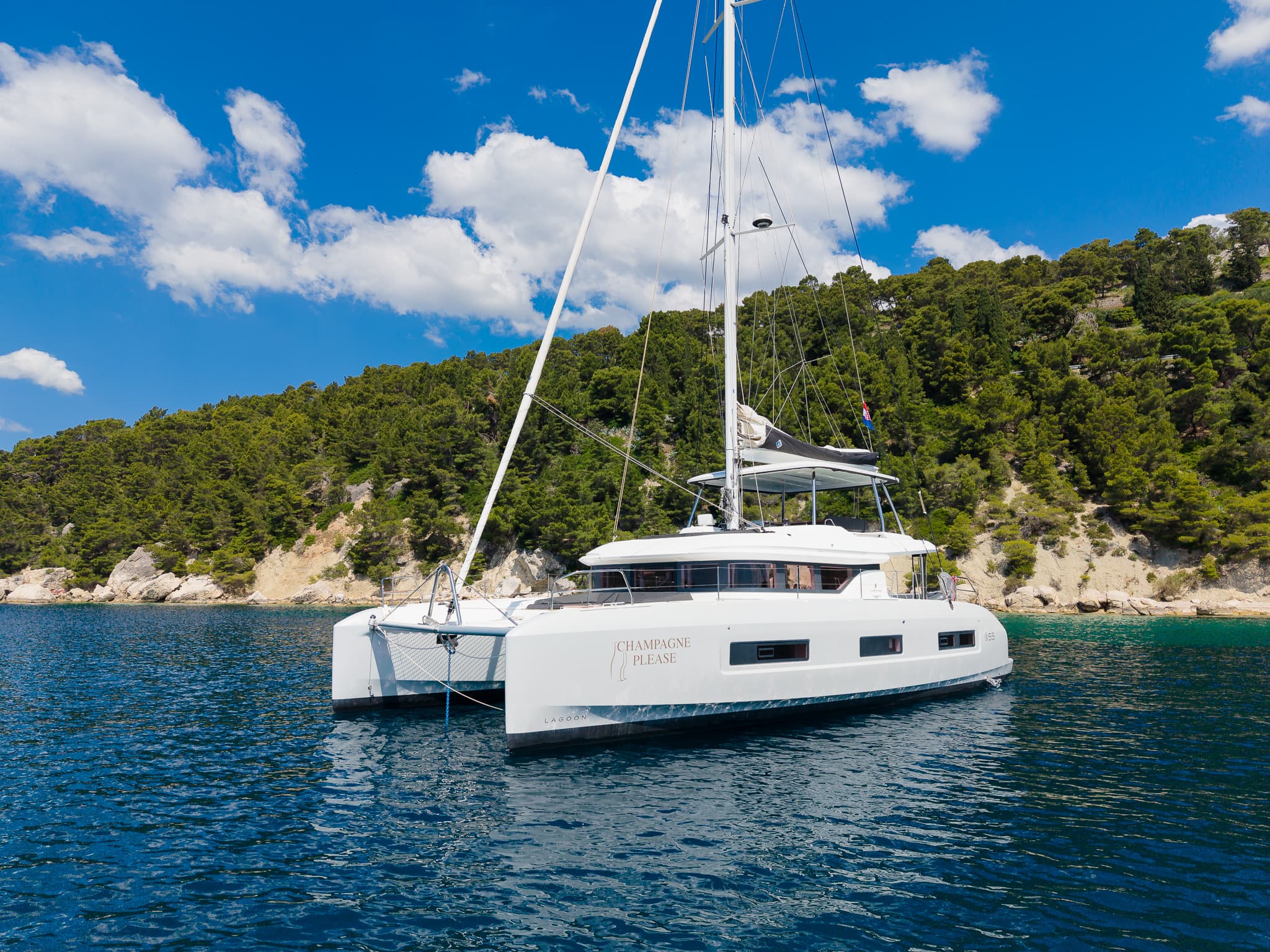 Lagoon 55 CHAMPAGNE PLEASE – bilde 3 av 61