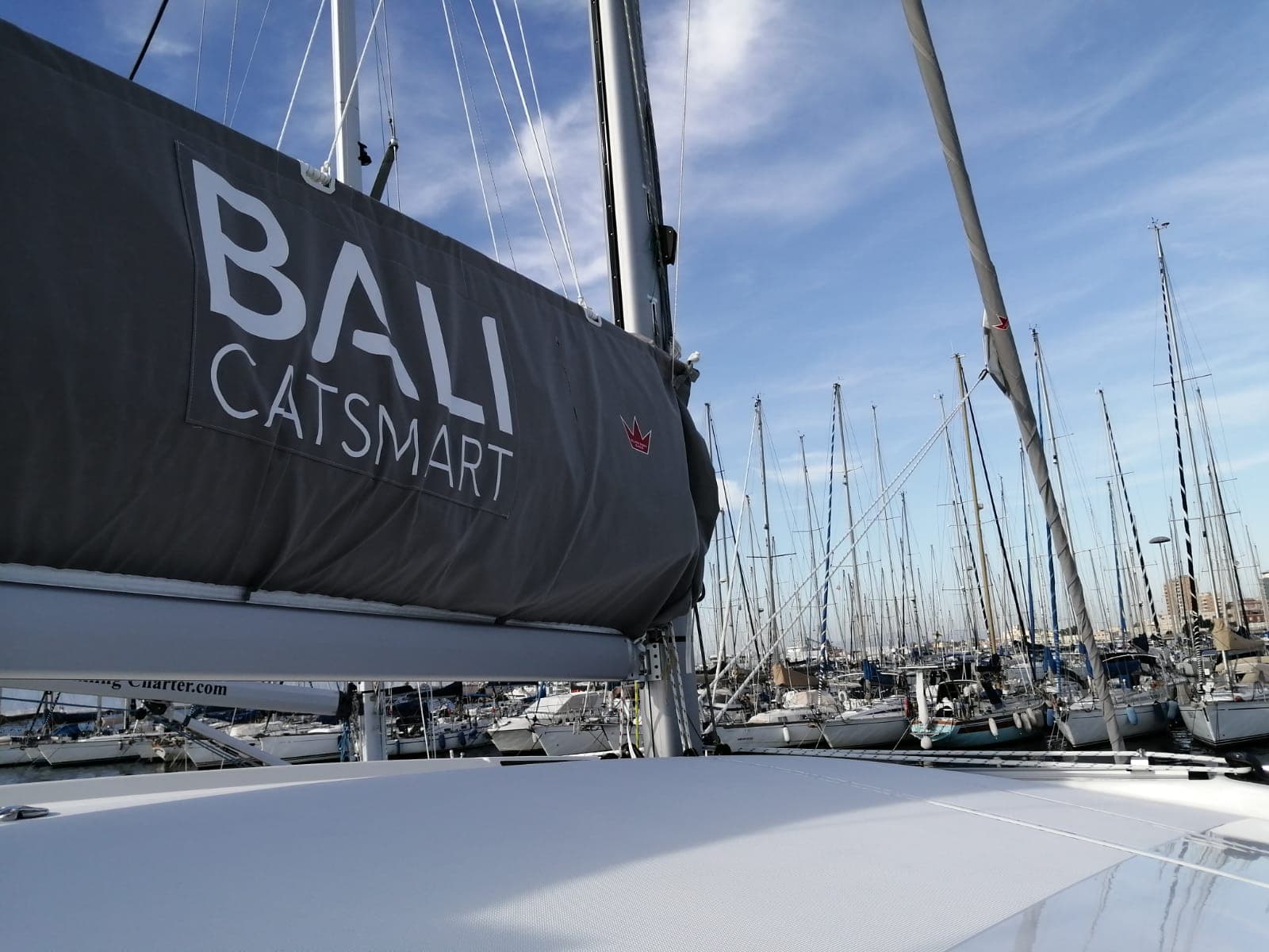 Bali Catsmart Violante – bilde 5 av 35