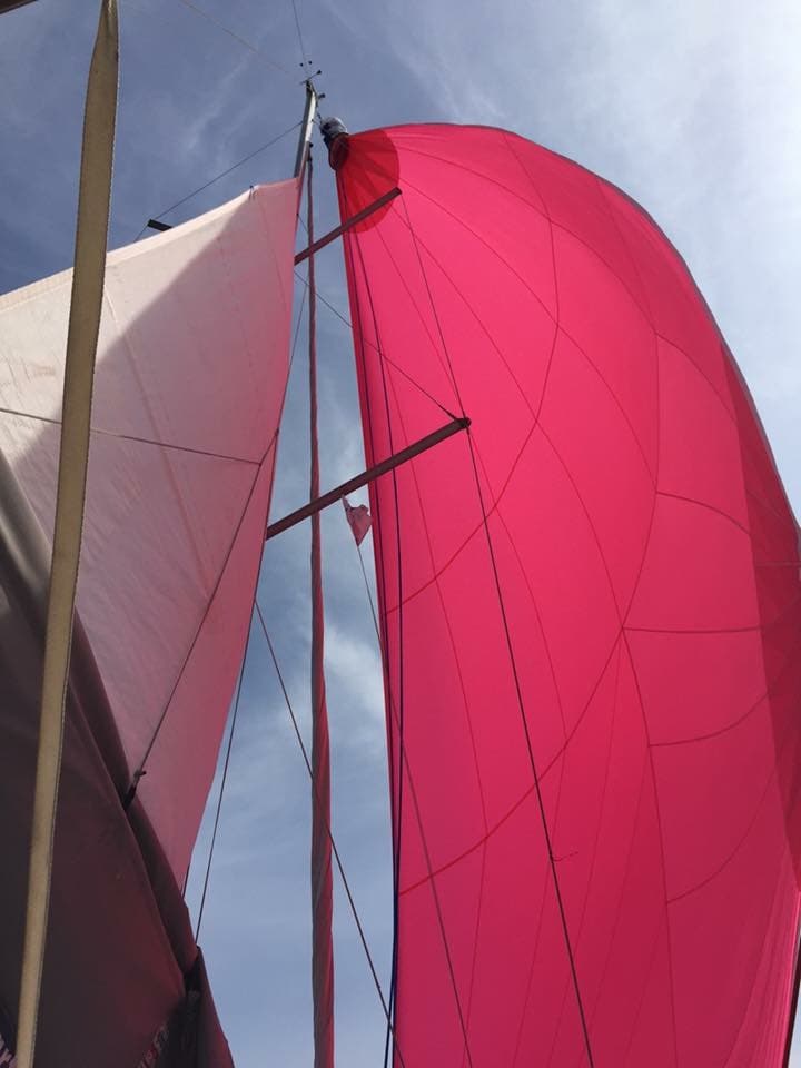 Beneteau Oceanis 37 WIND OF CHANGE – bilde 4 av 8