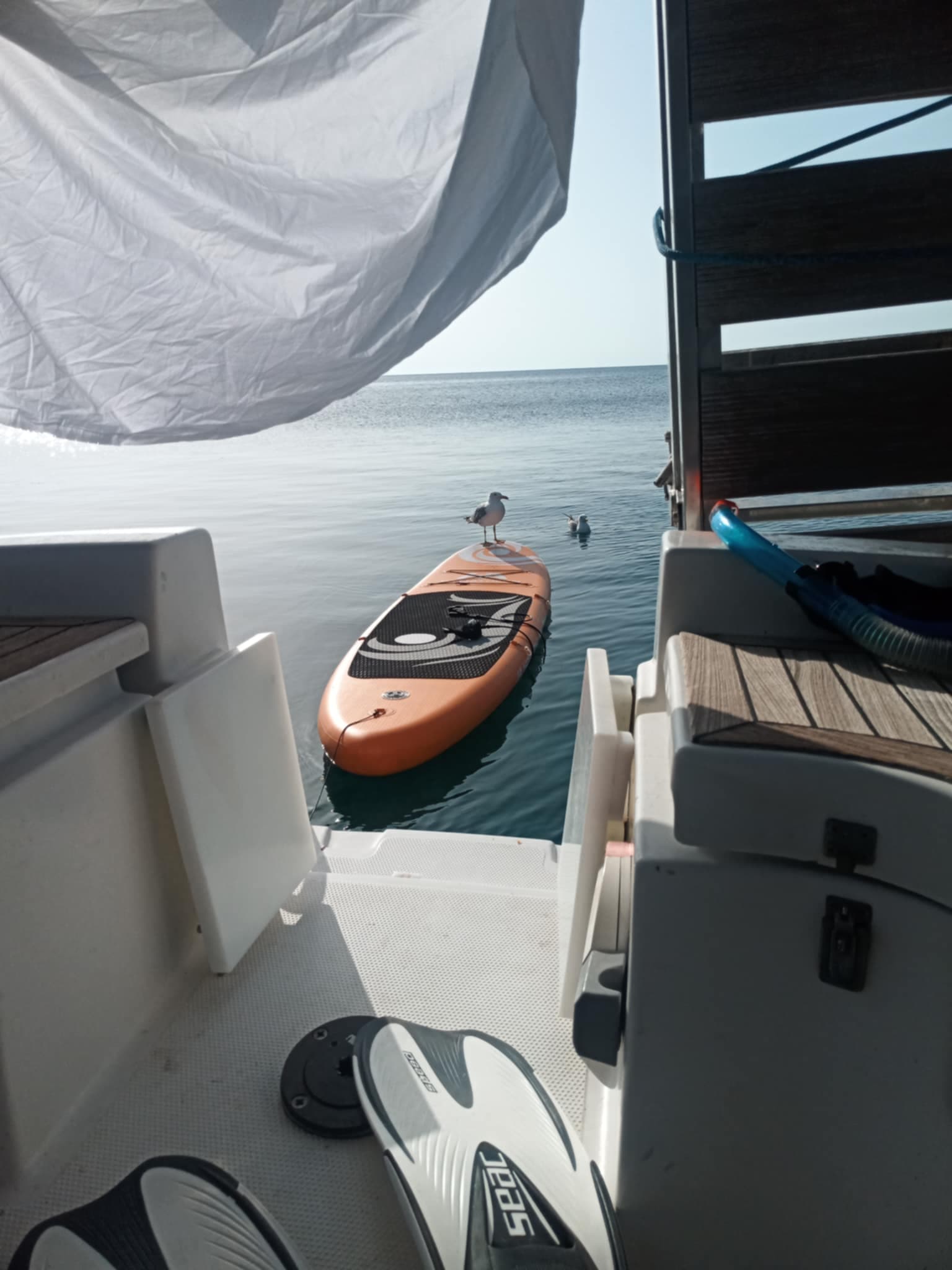 Hanse 342 9 Muses – bilde 2 av 25