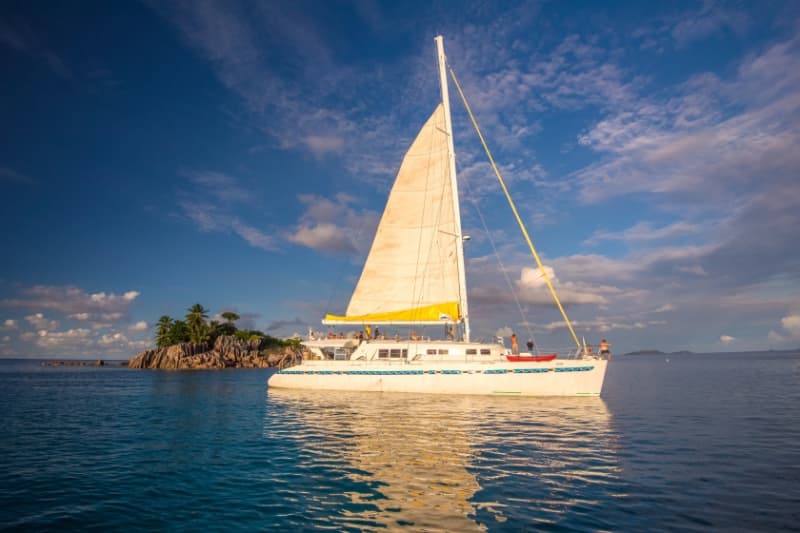 Mojito 78 Le Gauguin – bilde 3 av 20