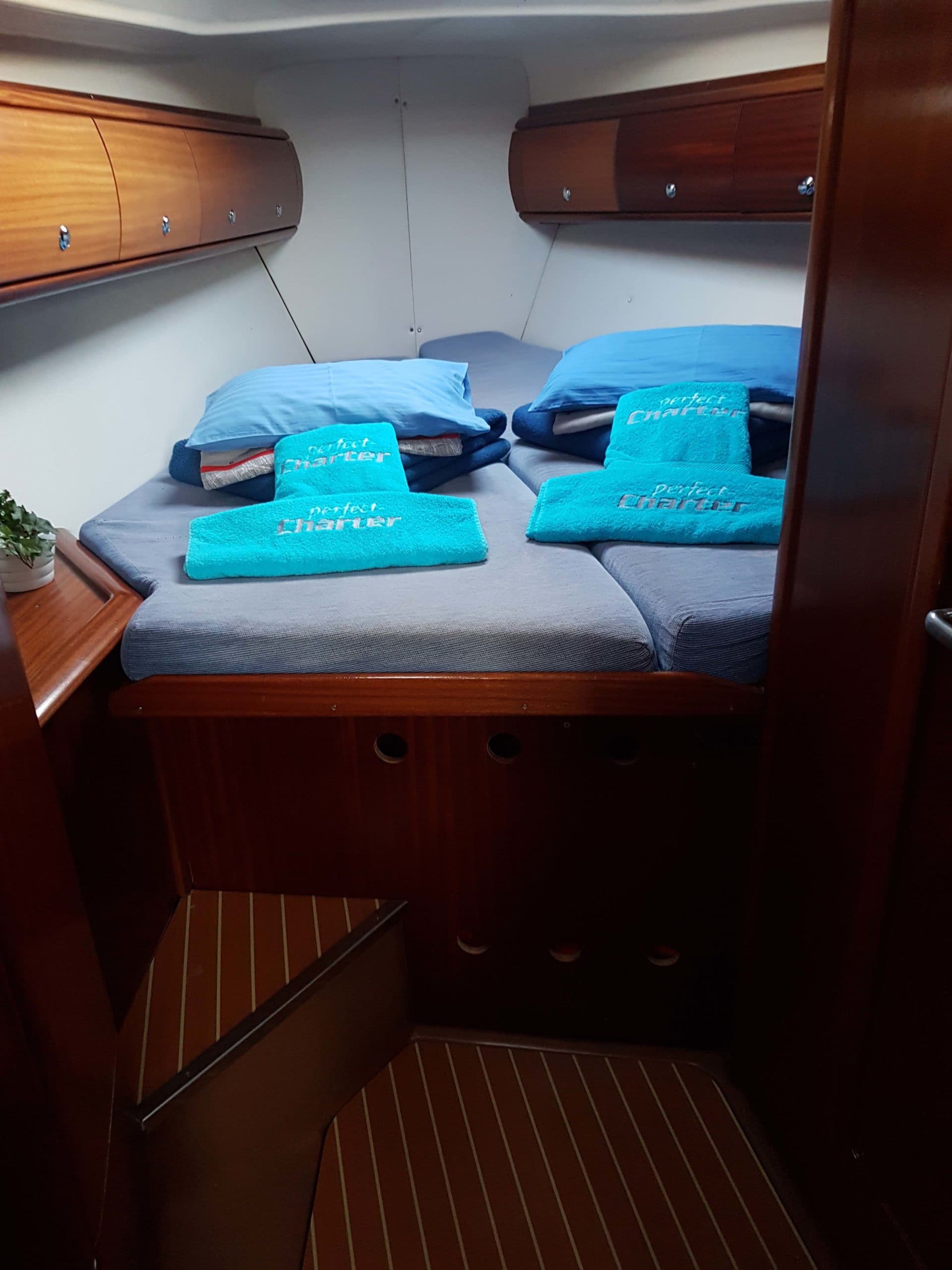 Bavaria 41 Azzurro – bilde 4 av 13