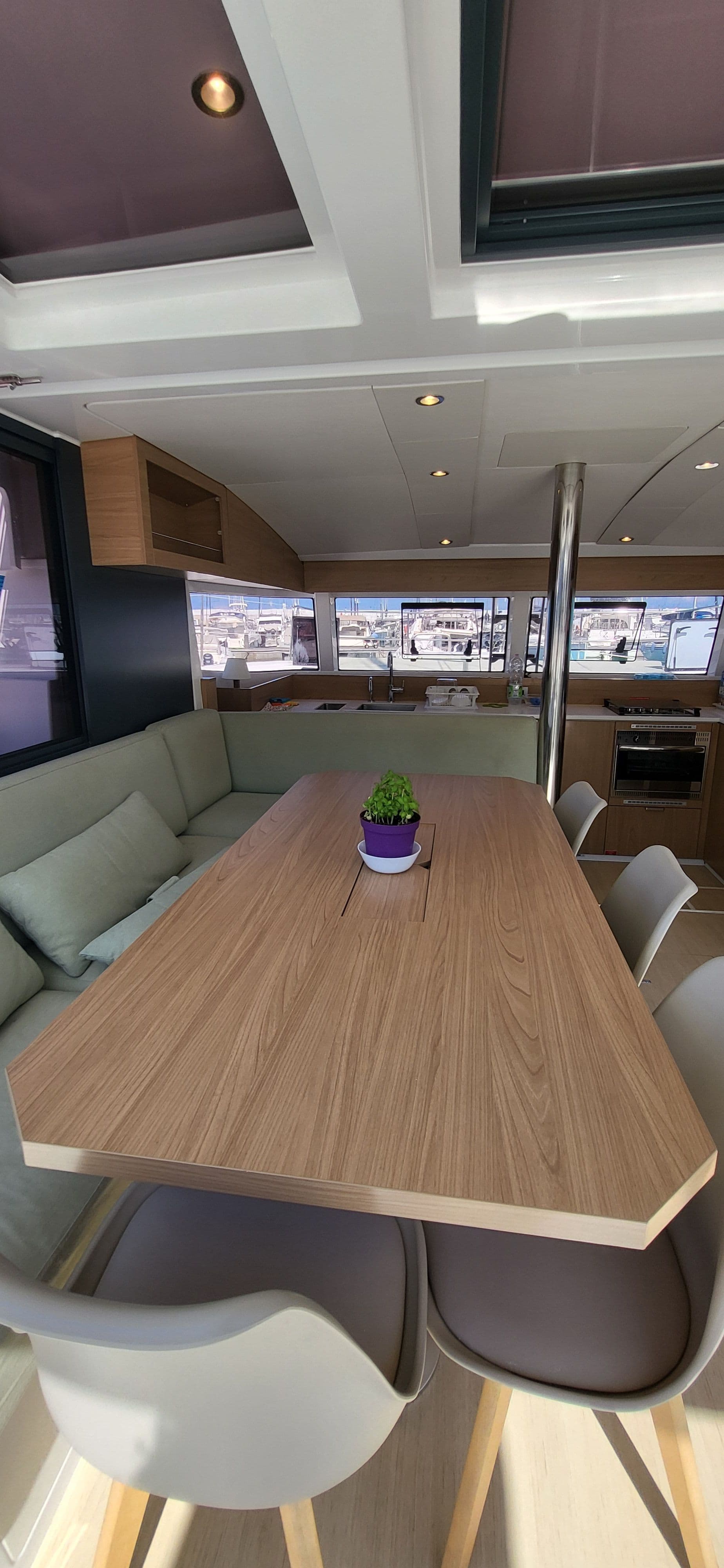Bali Catsmart Enterprise – bilde 2 av 28
