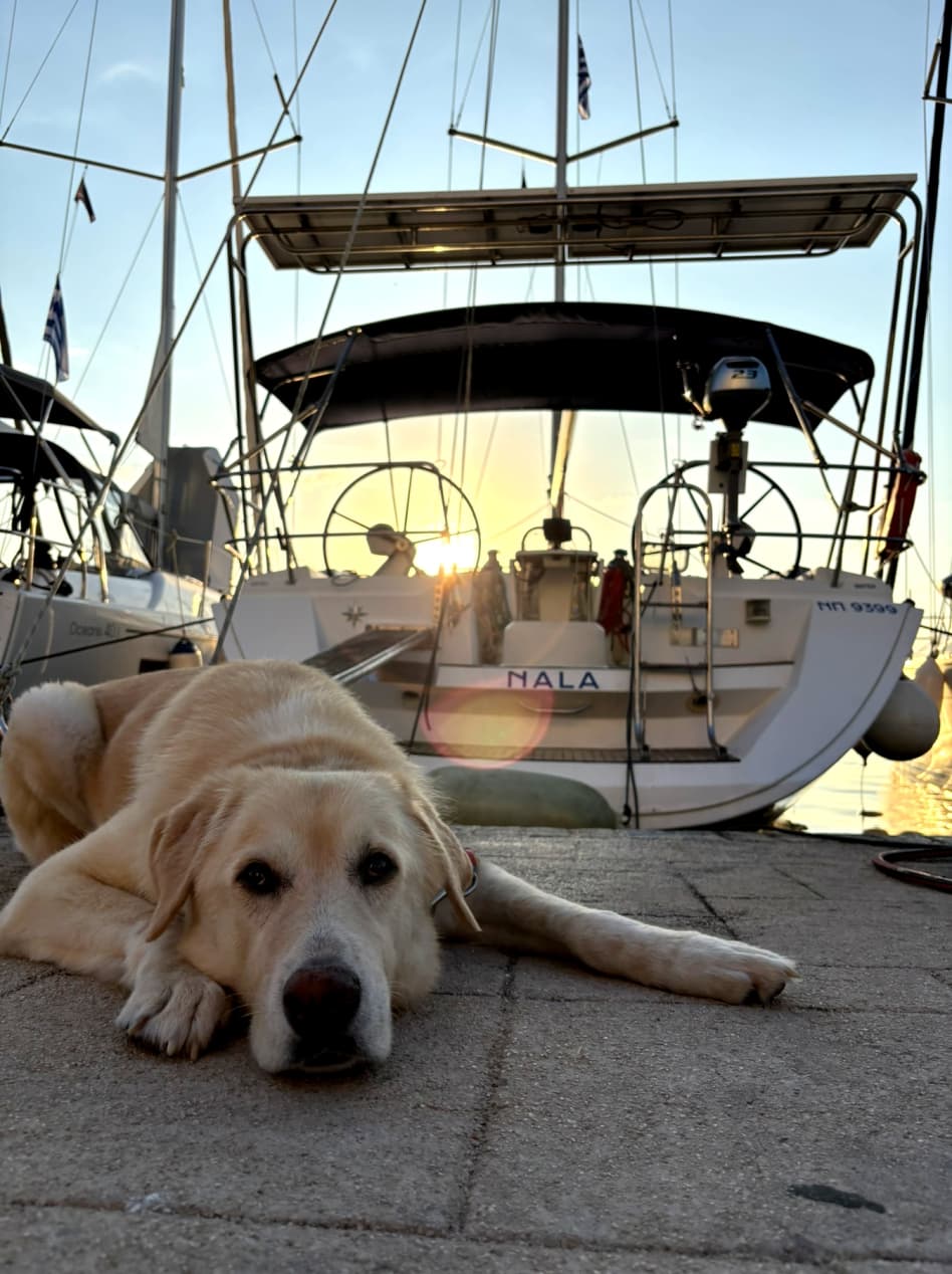 Jeanneau Sun Odyssey 45 Nala – bilde 3 av 14
