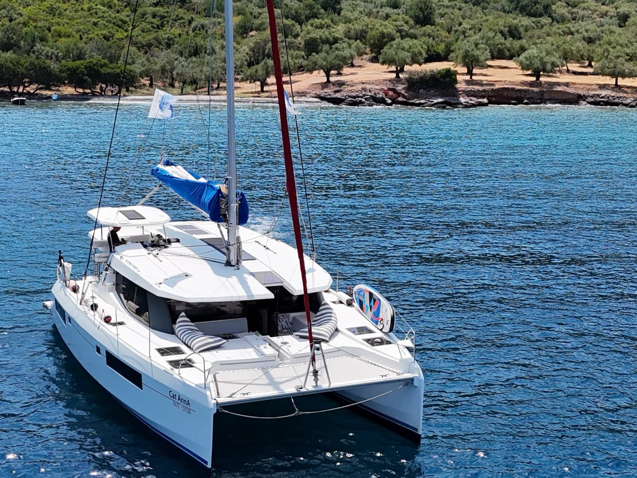 Leopard 45 Cat AnnA