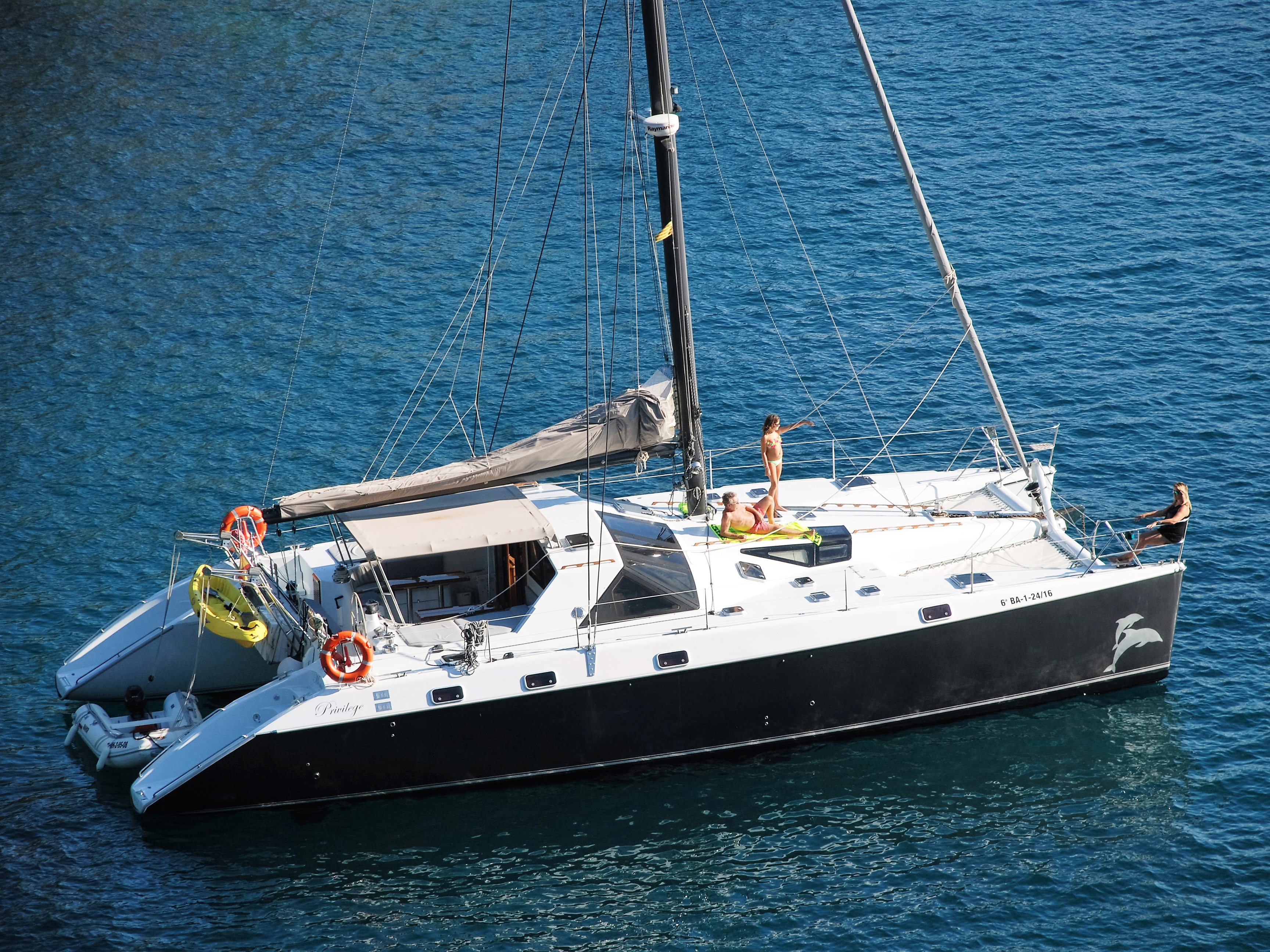Alliaura Privilege 51