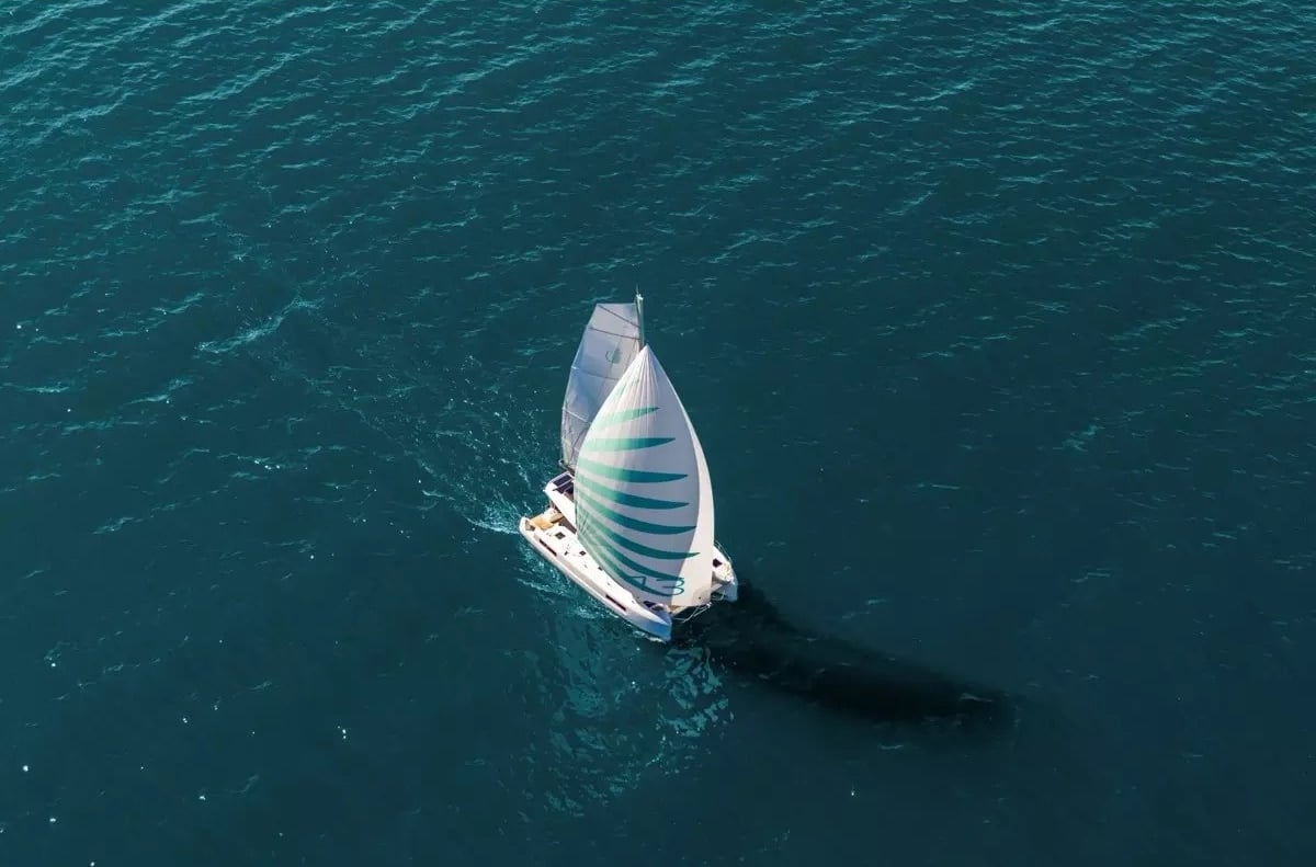 Lagoon 43 Flow