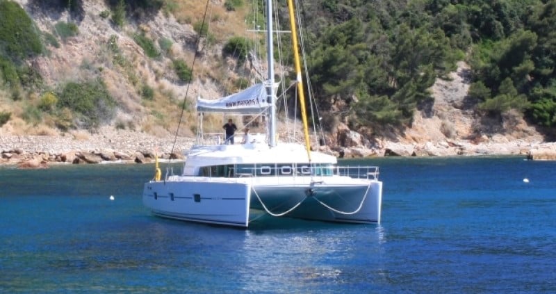 Catlante 600 Iris