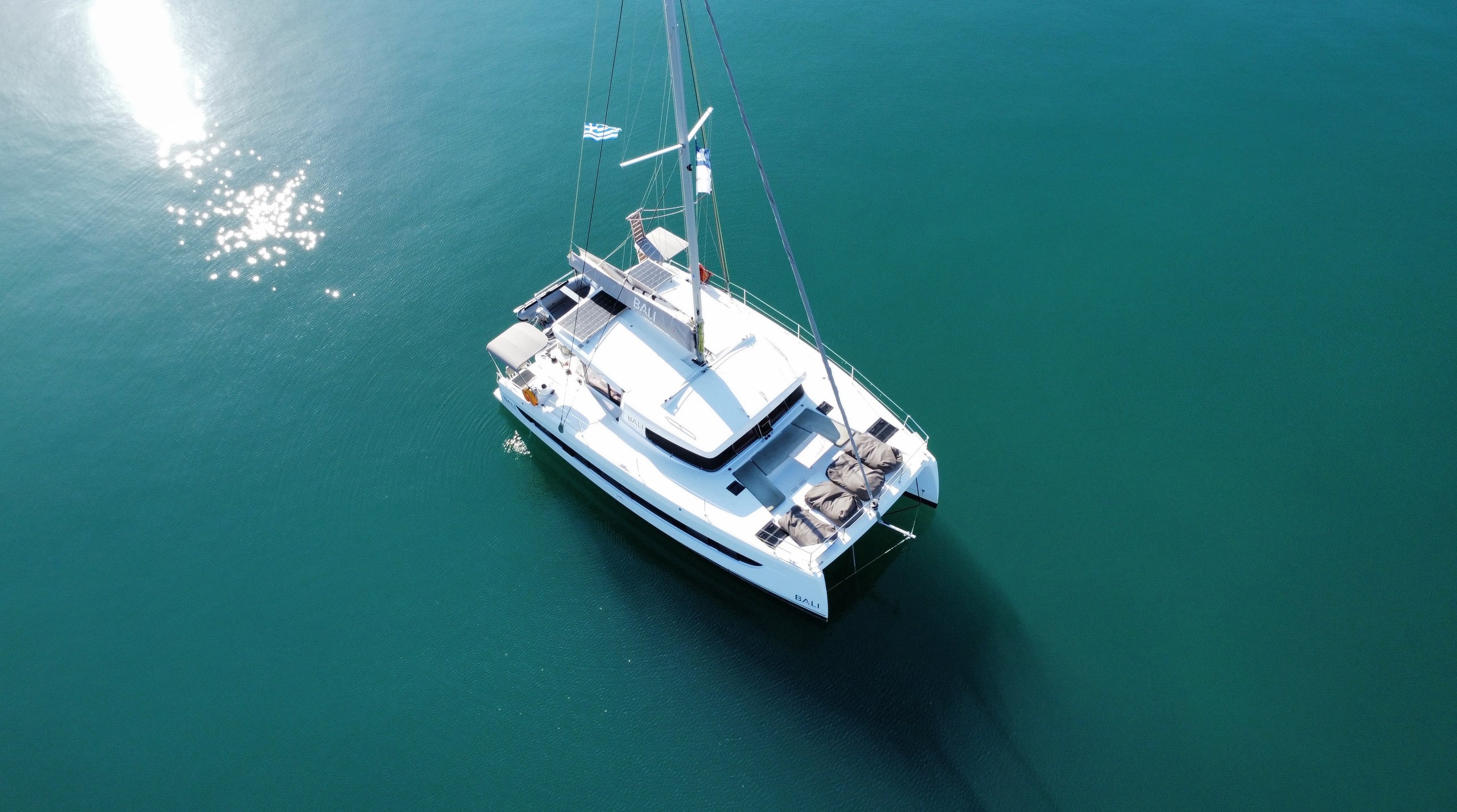Bali Catsmart Northcat 38